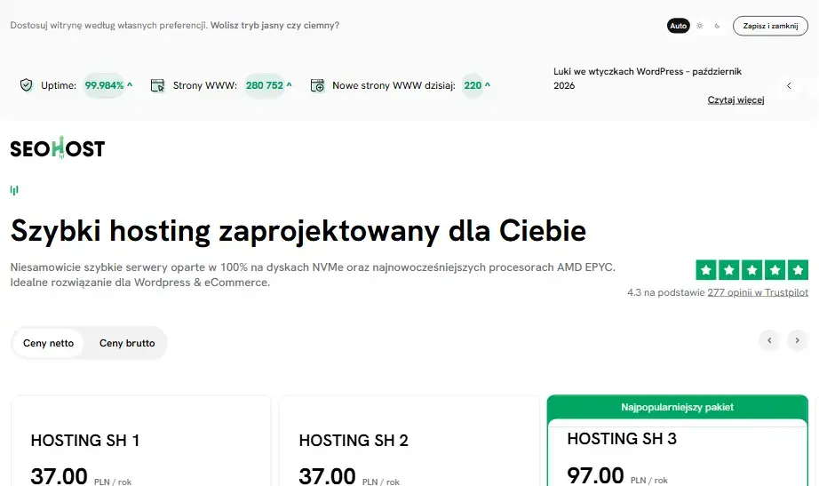 Strona hostingowa SEOhost, 26.10.2026
